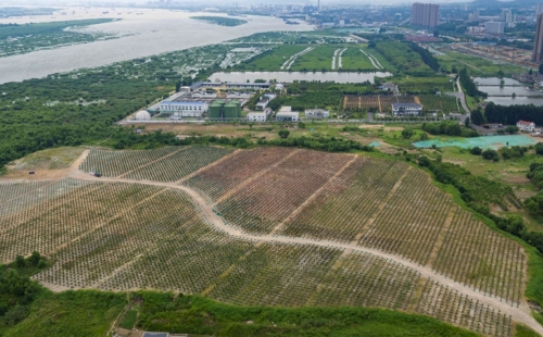 合肥龙泉山垃圾填埋场历史封场，生态修复计划展开新篇章